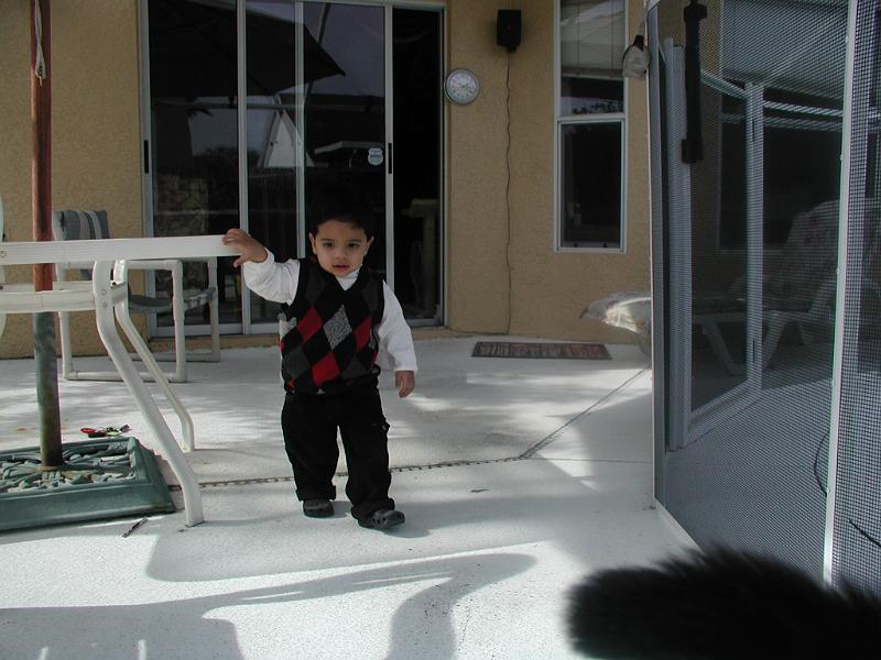 PC160045.JPG - By the pool again. You can see Victor's black tail in the bottom right of the frame