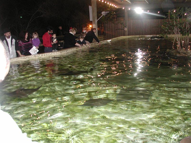PC300072.JPG - This is the sting ray pond