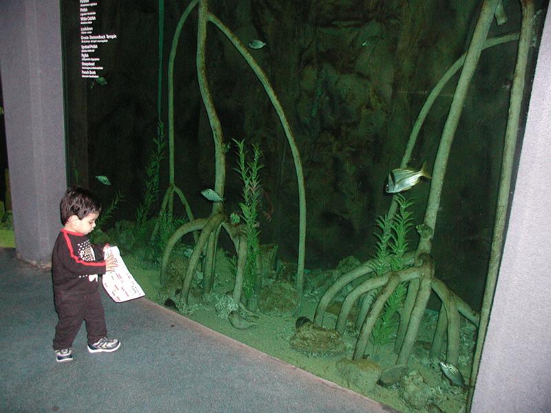 PC300077.JPG - By the aquarium