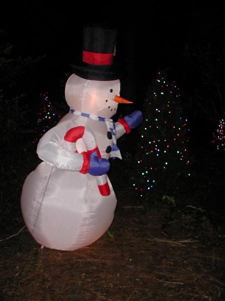 PC300080.JPG - Has to be a snowman