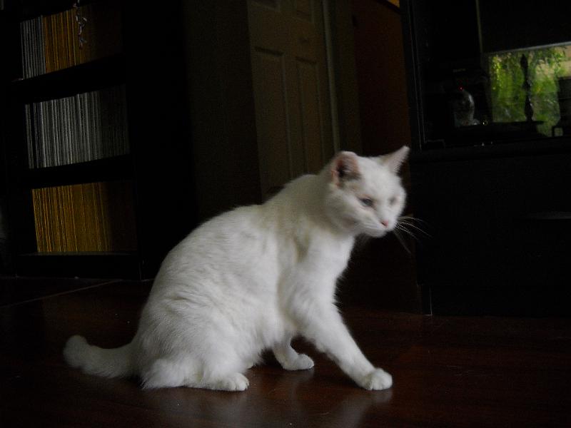 DSCN0004.JPG - Princess