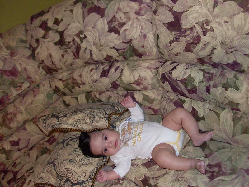 HPIM0935.JPG - Back on the sofa