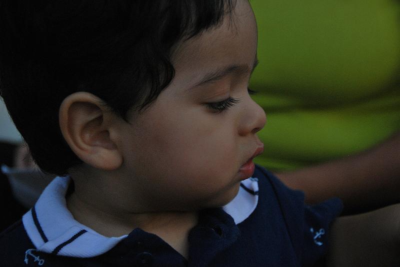 DSC_0779.JPG - Thoughtful Rohan