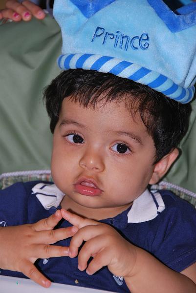 DSC_0795.JPG - All of them