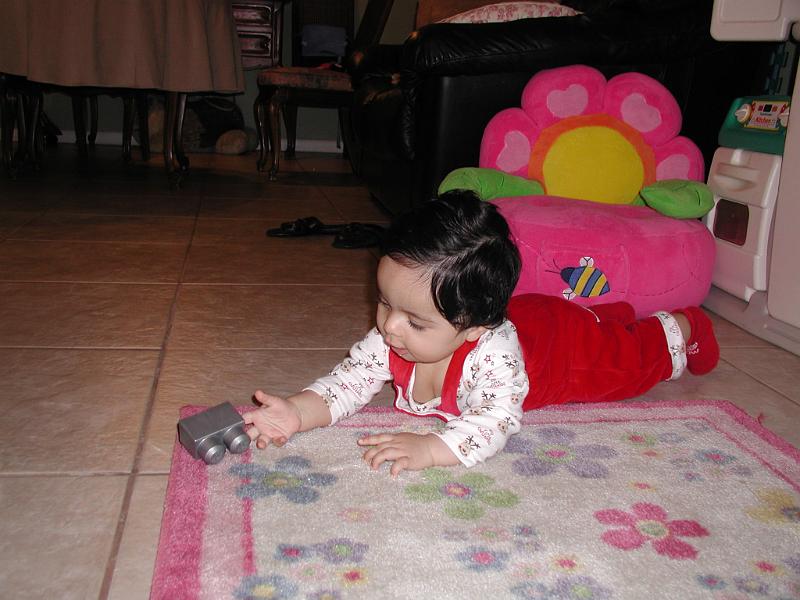 PC250068.JPG - Rohan finds a new toy