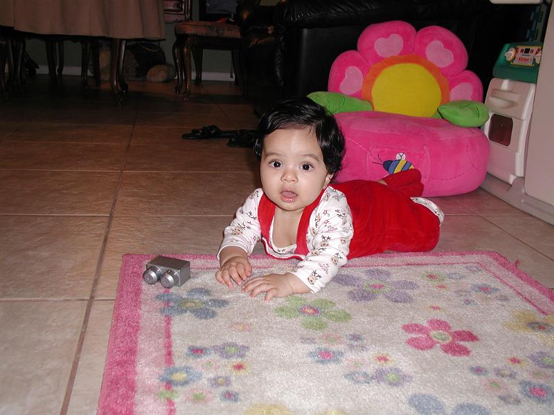 PC250069.JPG - That's not a toy!!!!