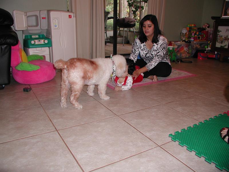 PC250074.JPG - Ruffy checking out Rohan