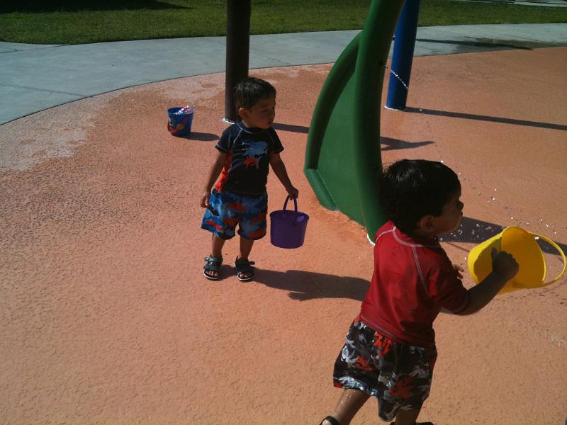 IMG_0346.JPG - Here they are in the water