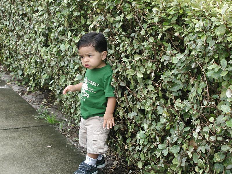 P8230155.JPG - Thinking green