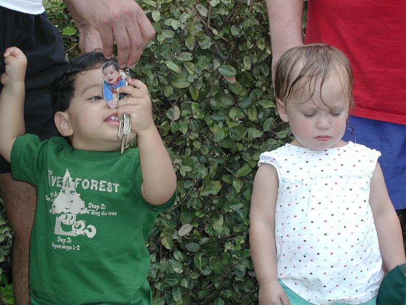 P8230158.JPG - They are ignoring each other