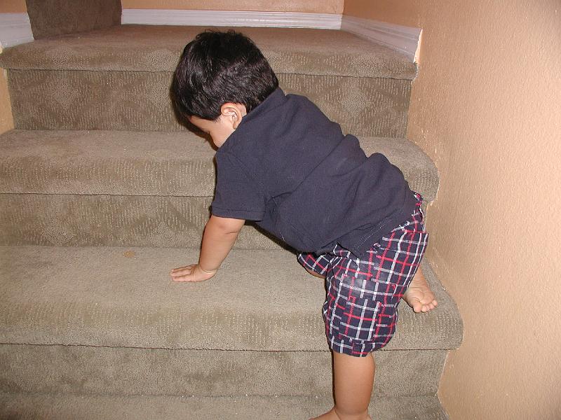 P9020178.JPG - Walking down the stairs