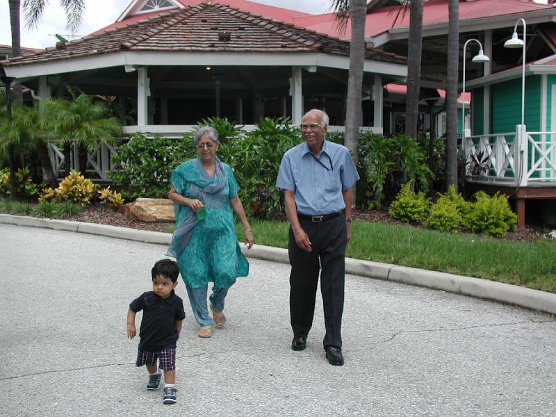 P9020188.JPG - More marching