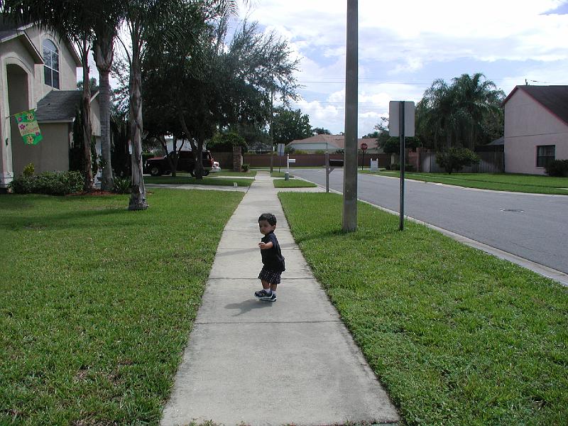 P9020194.JPG - He has been called back. Enough of a walk